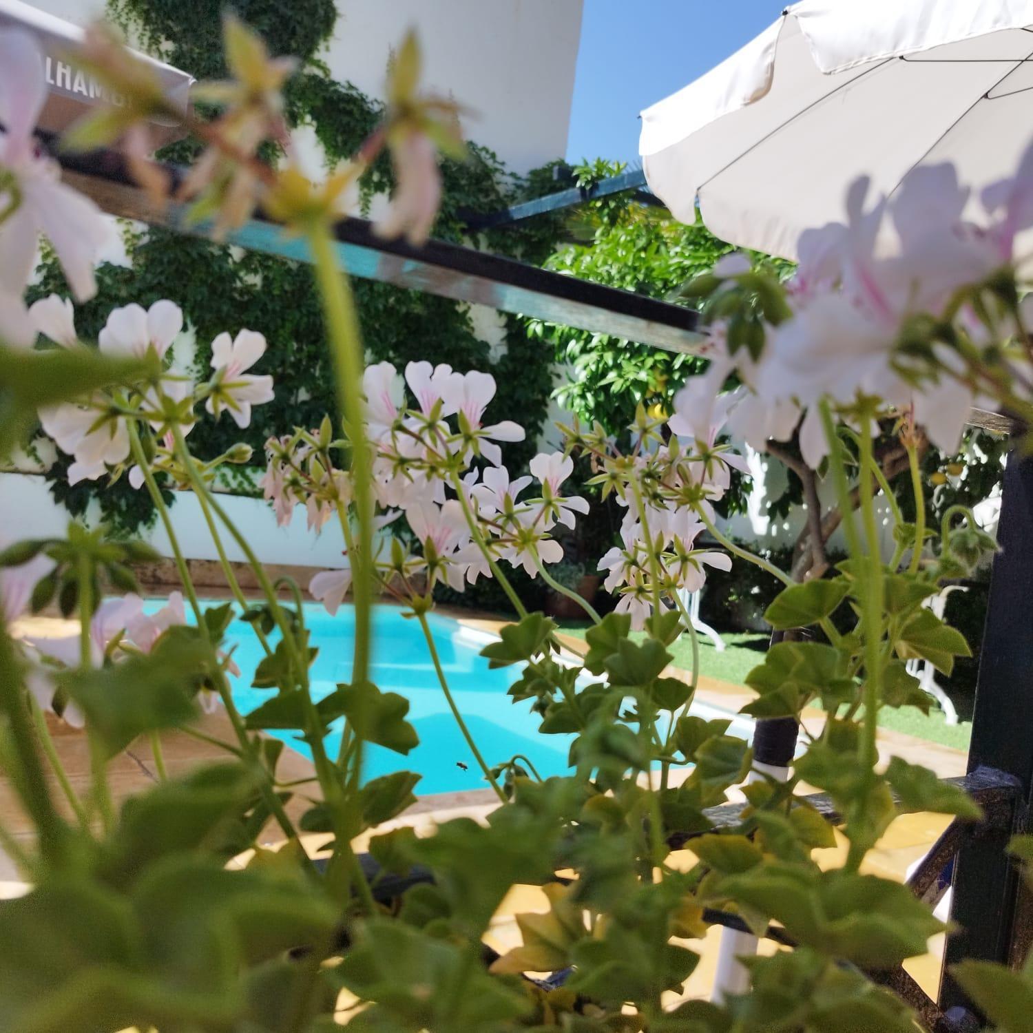 Suite Comares Granada Eksteriør billede