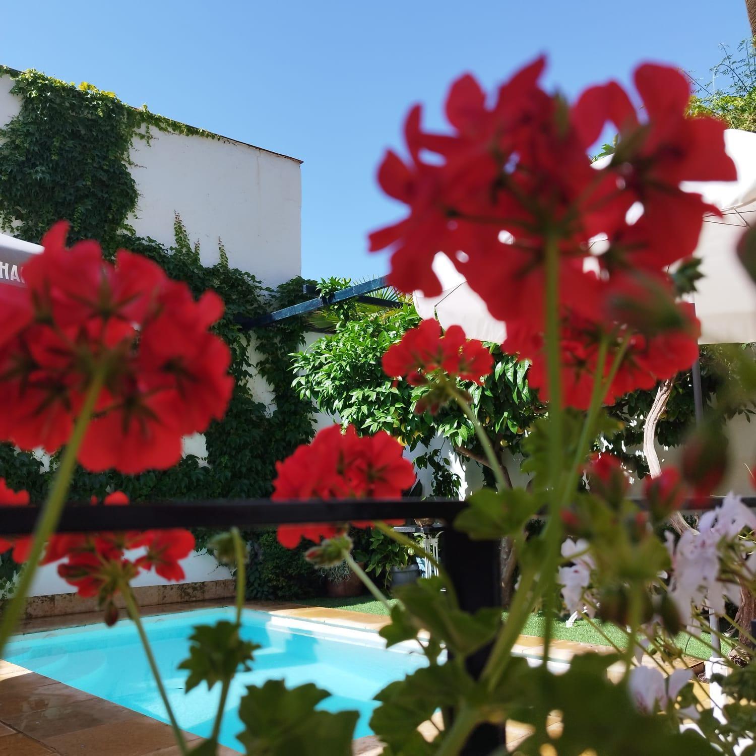 Suite Comares Granada Eksteriør billede
